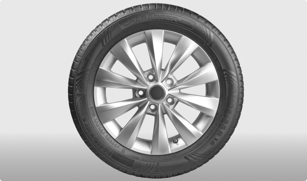 Ikon Tyres Character Eco